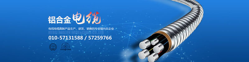 滄州市統(tǒng)計(jì)工作規(guī)范化建設(shè)推進(jìn)會(huì)在華倫公司順利召開！